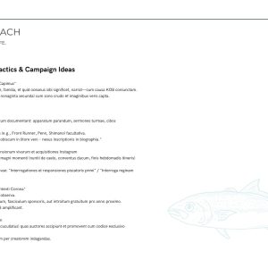 King of the beach marketing strategy