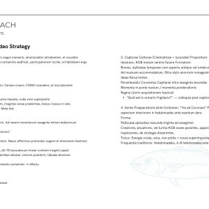 King of the beach marketing strategy